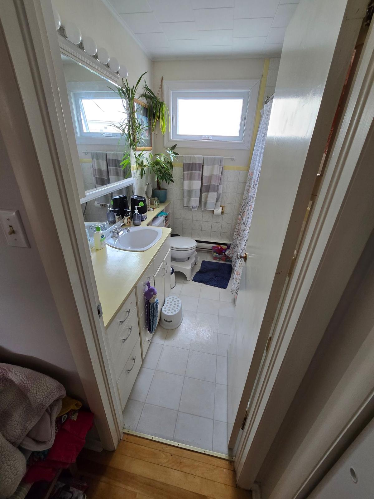 Rennies Mill bathroom before renovation — second angle, toward the vanity.