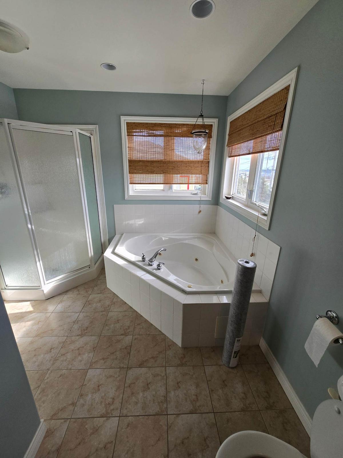Halls Road bathroom before renovation — second angle.