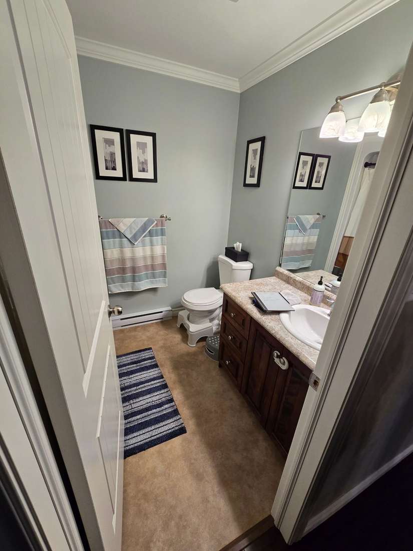 Glenlonan main bathroom before renovation — vanity, toilet and original finishes.